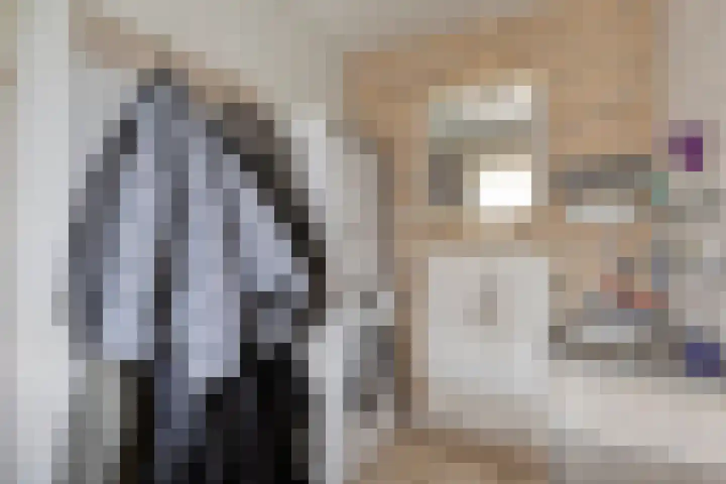 Nieuwstraat 25 Liessel thumbnail 27