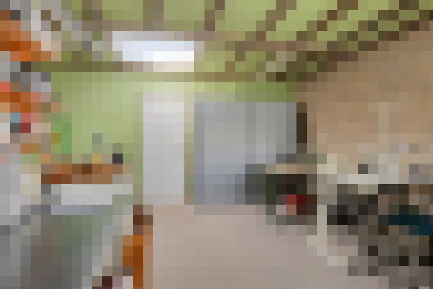 Nieuwstraat 25 Liessel thumbnail 29