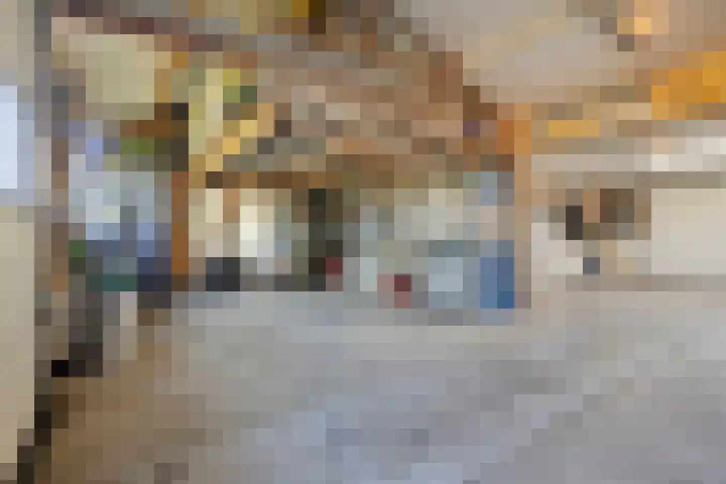 Nieuwstraat 25 Liessel thumbnail 32