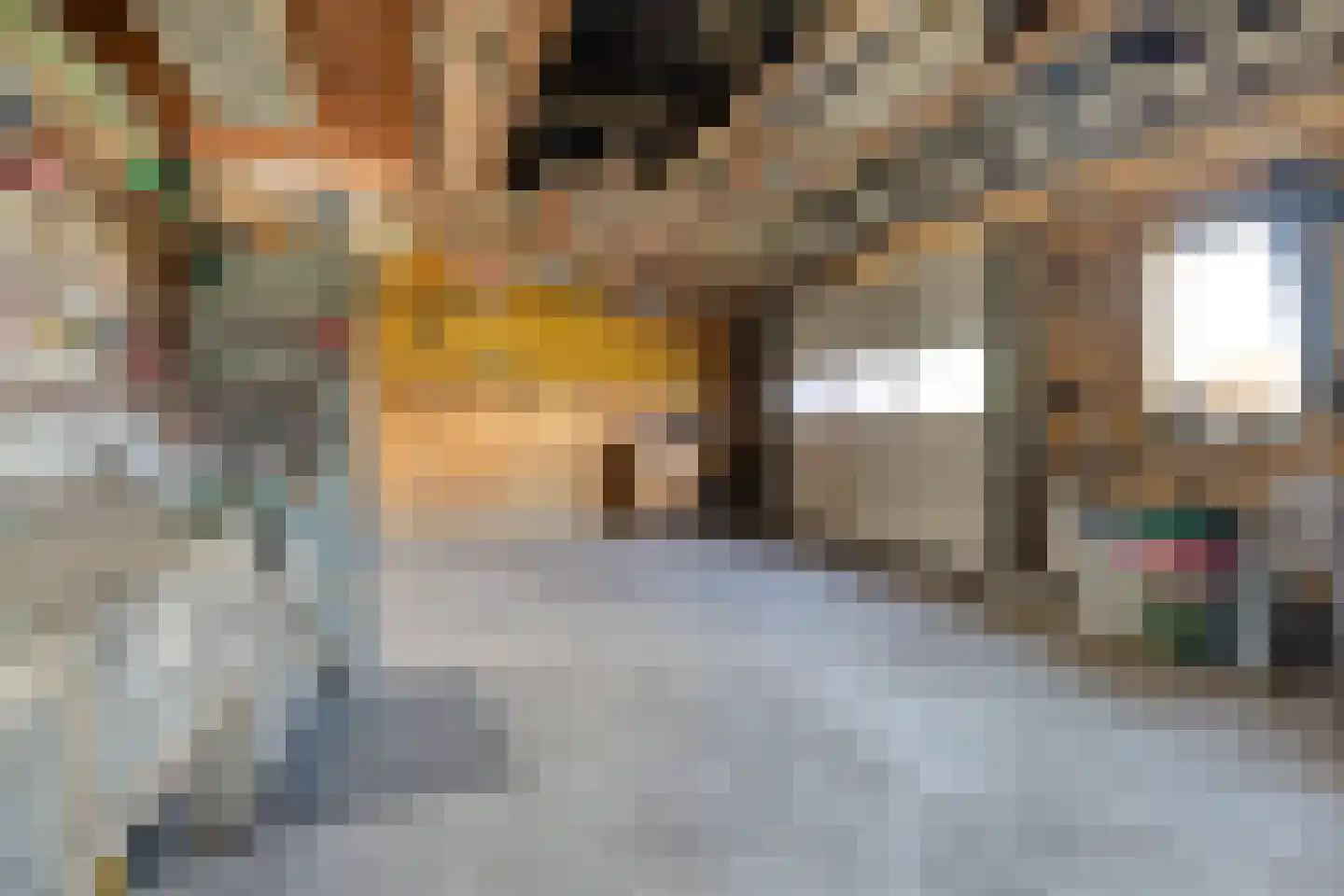 Nieuwstraat 25 Liessel thumbnail 33