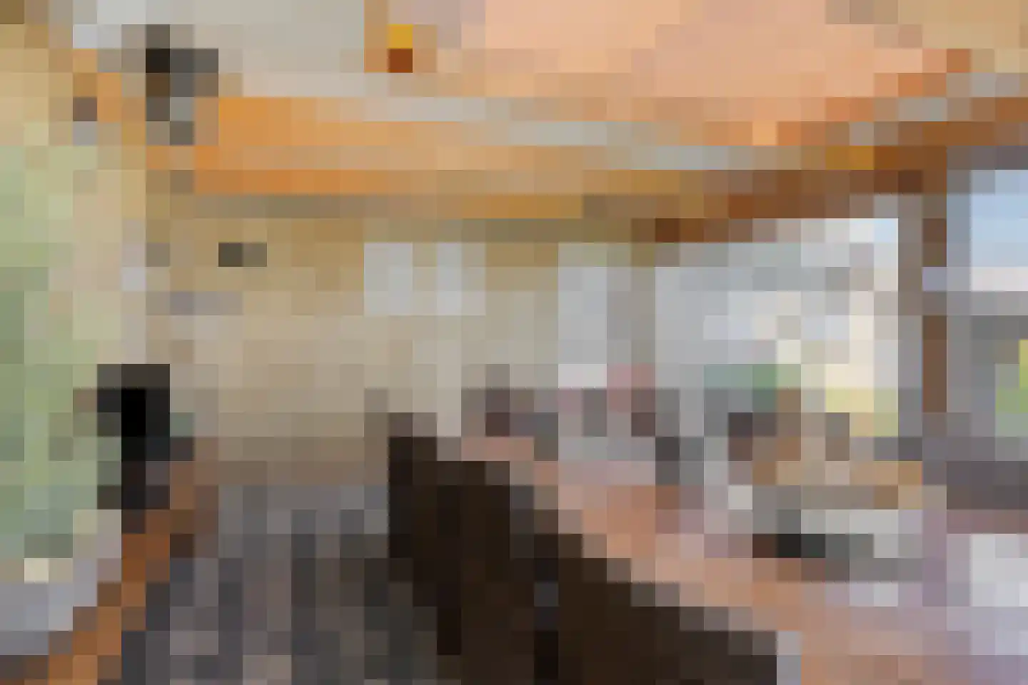 Nieuwstraat 25 Liessel thumbnail 35