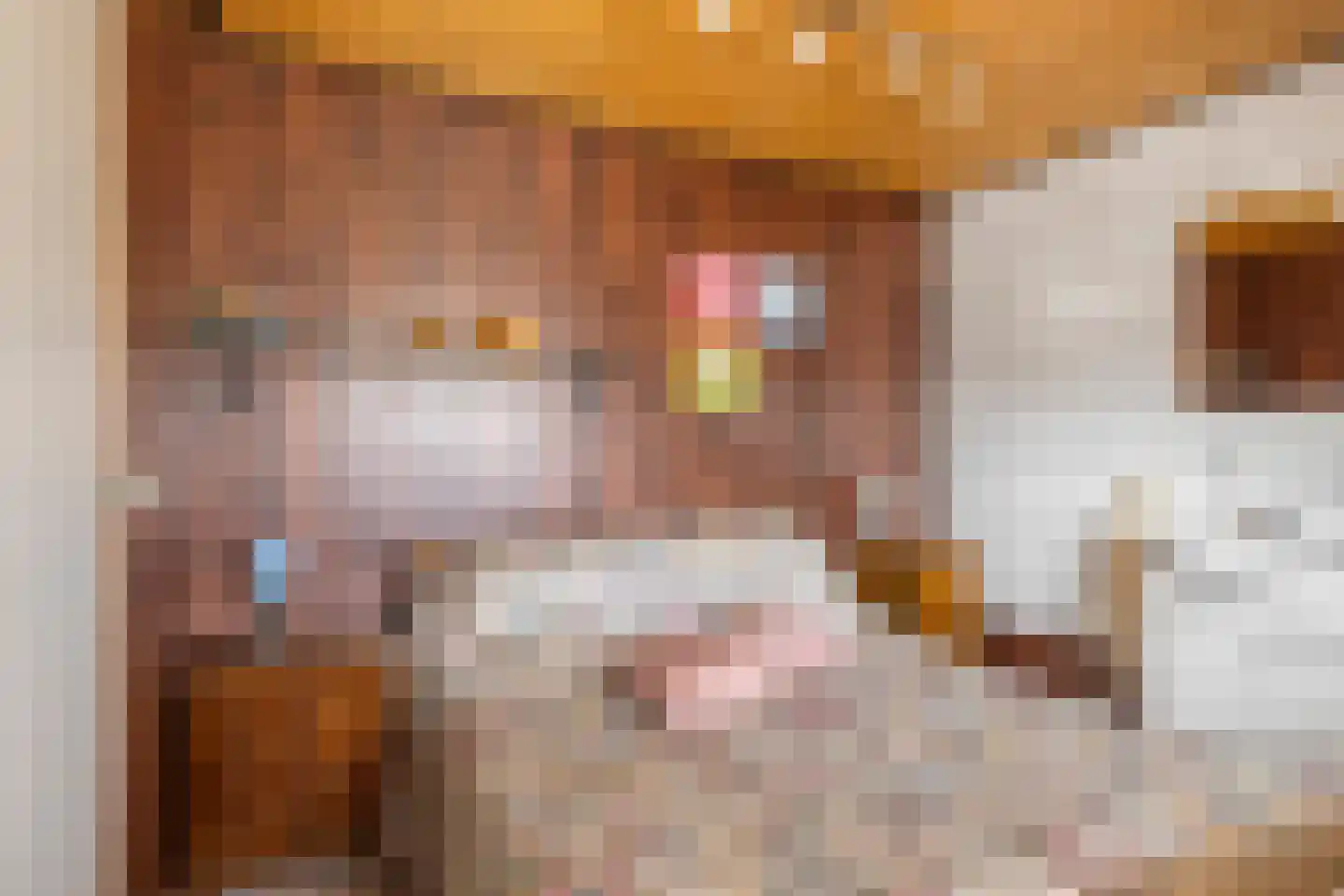 Nieuwstraat 25 Liessel thumbnail 38