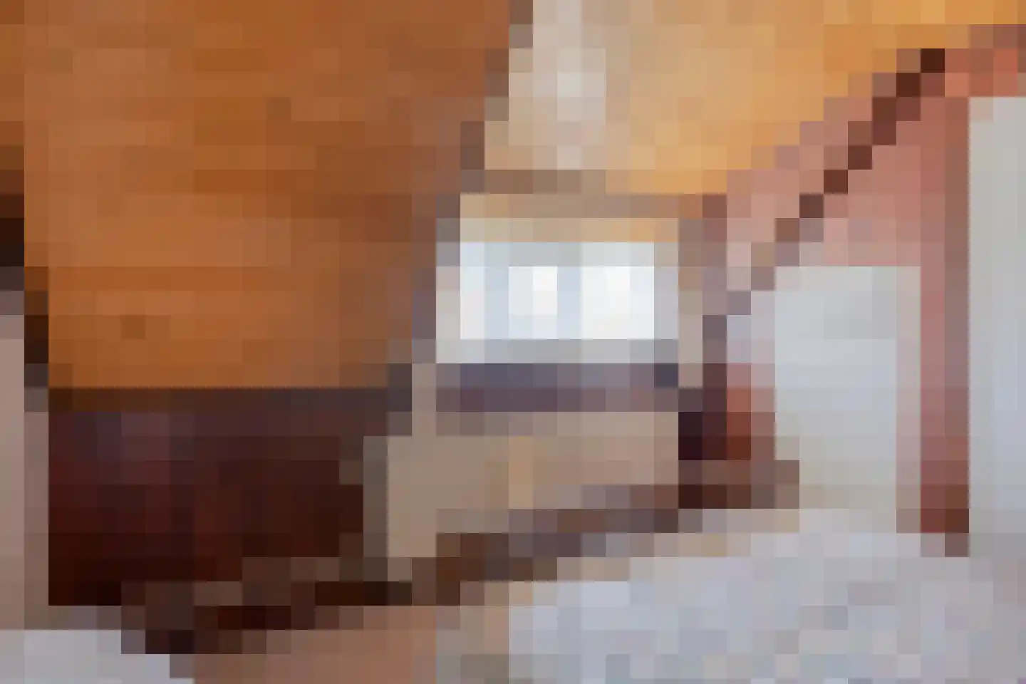 Nieuwstraat 25 Liessel thumbnail 39