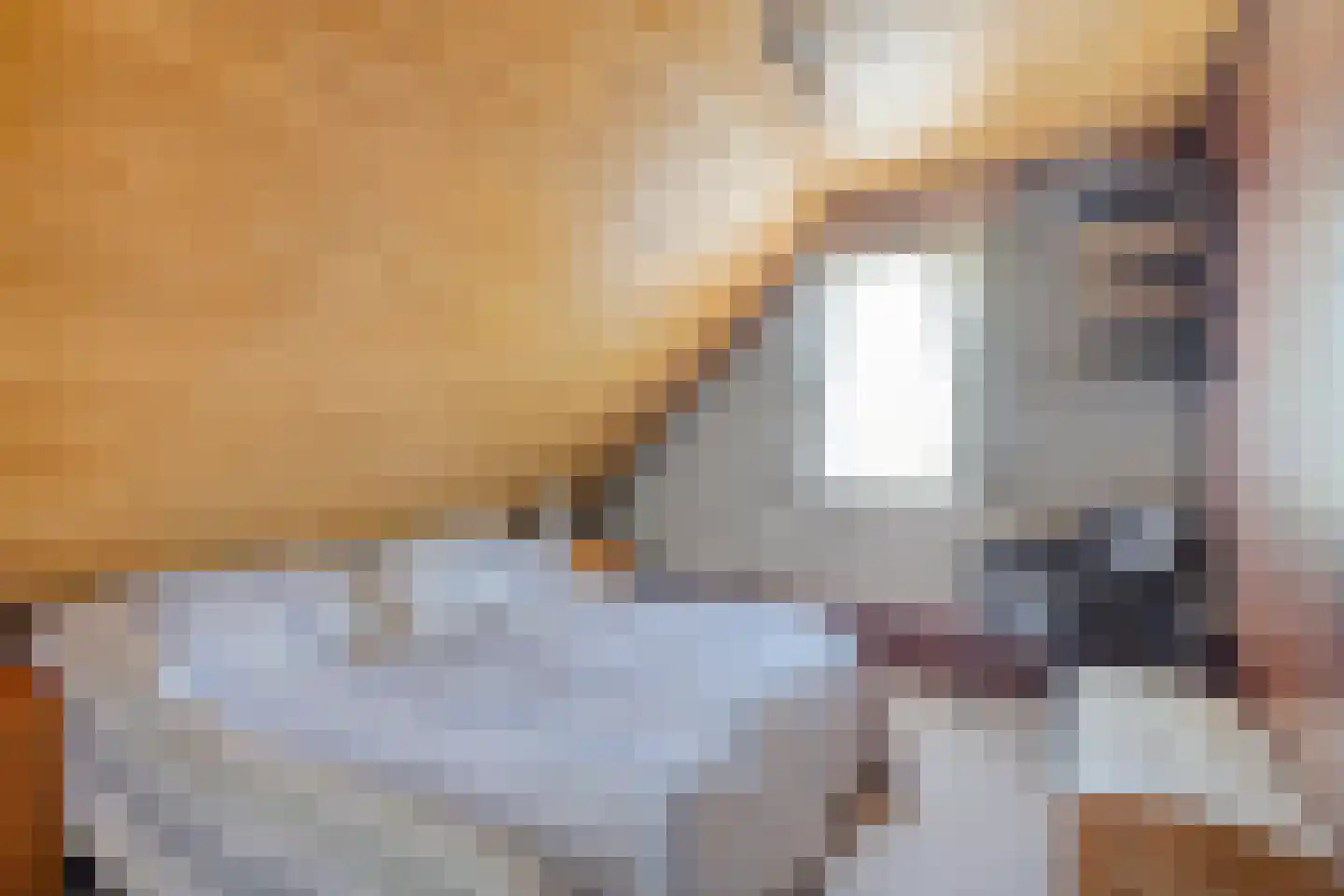 Nieuwstraat 25 Liessel thumbnail 40