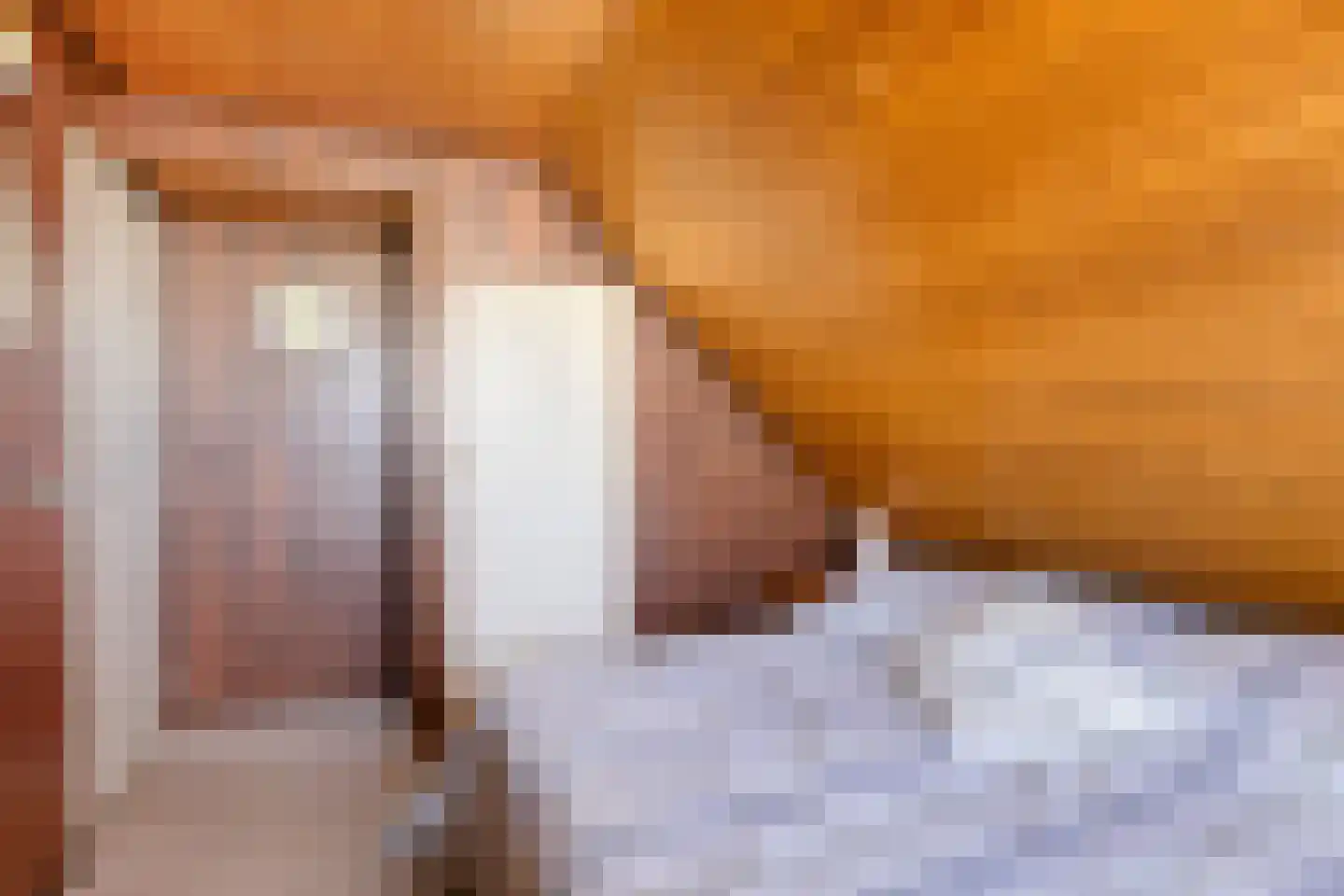Nieuwstraat 25 Liessel thumbnail 41