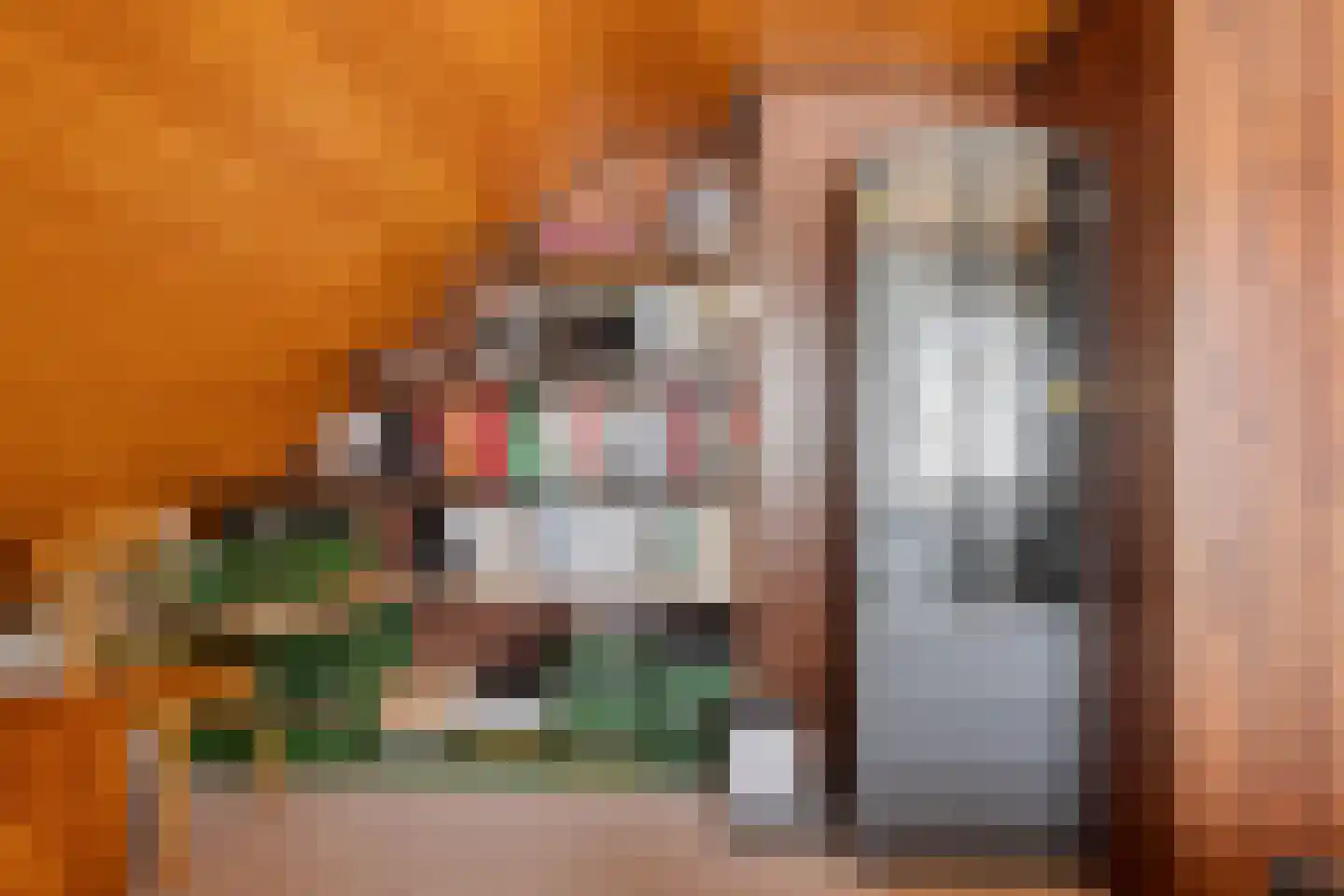 Nieuwstraat 25 Liessel thumbnail 44