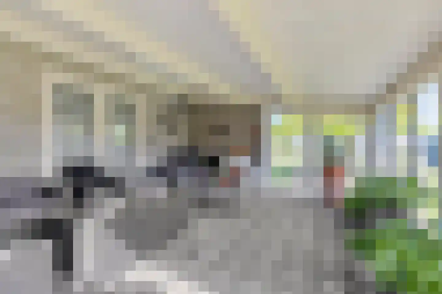 Nieuwstraat 25 Liessel thumbnail 48