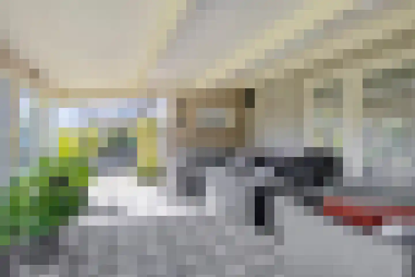 Nieuwstraat 25 Liessel thumbnail 49