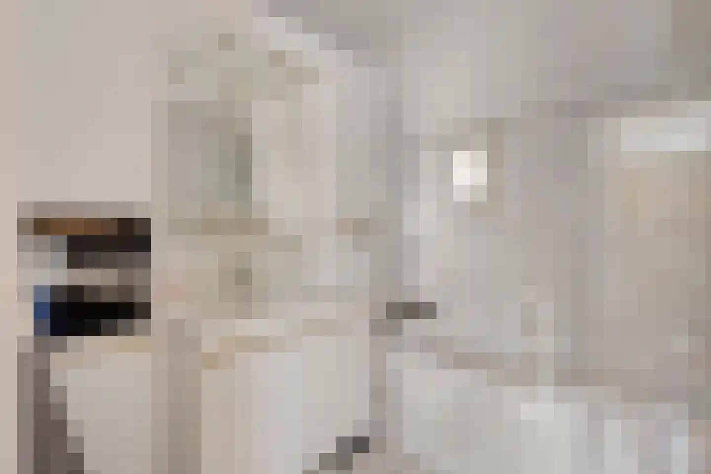 Nieuwstraat 25 Liessel thumbnail 5