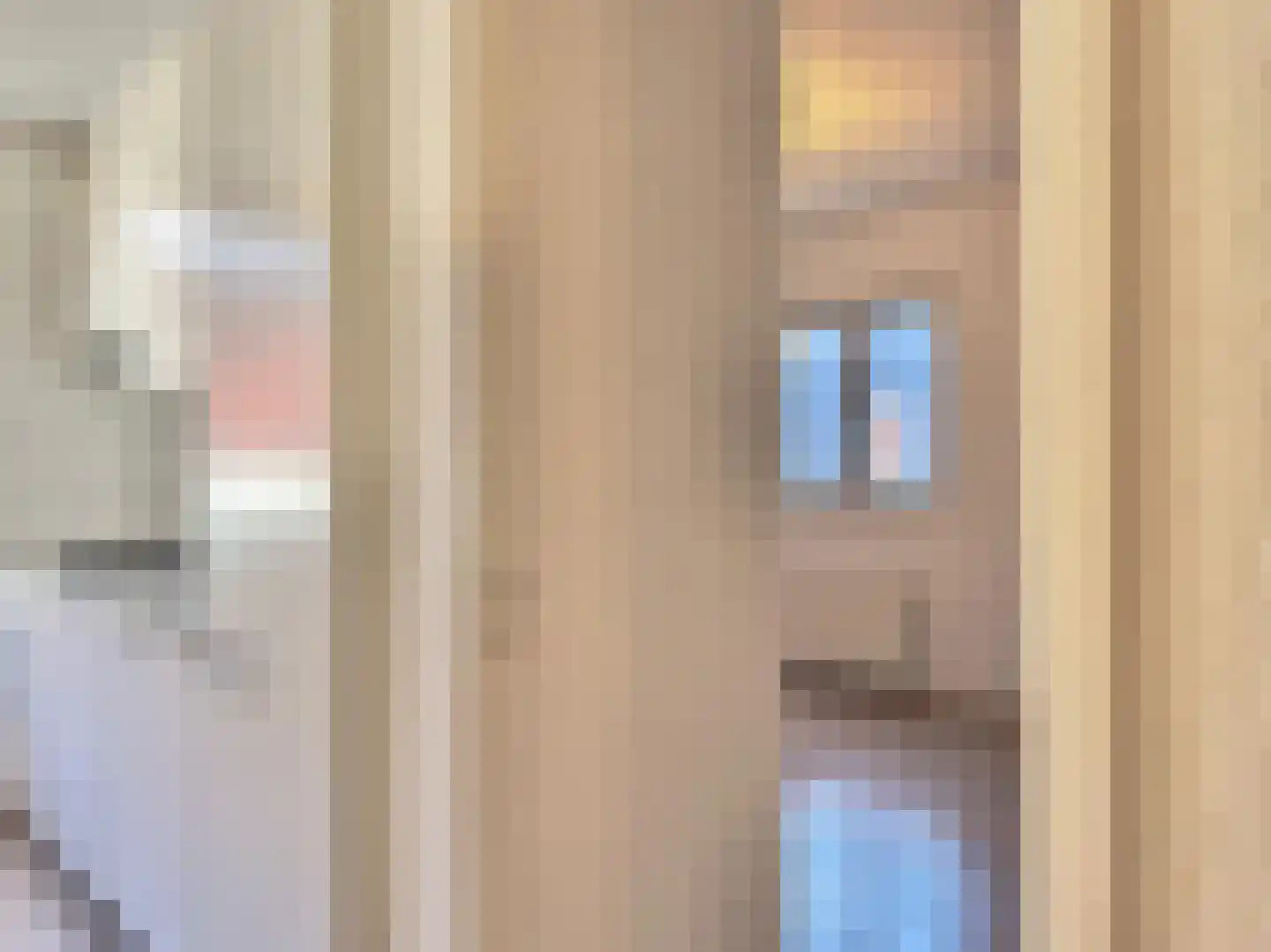 Nieuwstraat 25 Purmerend thumbnail 15