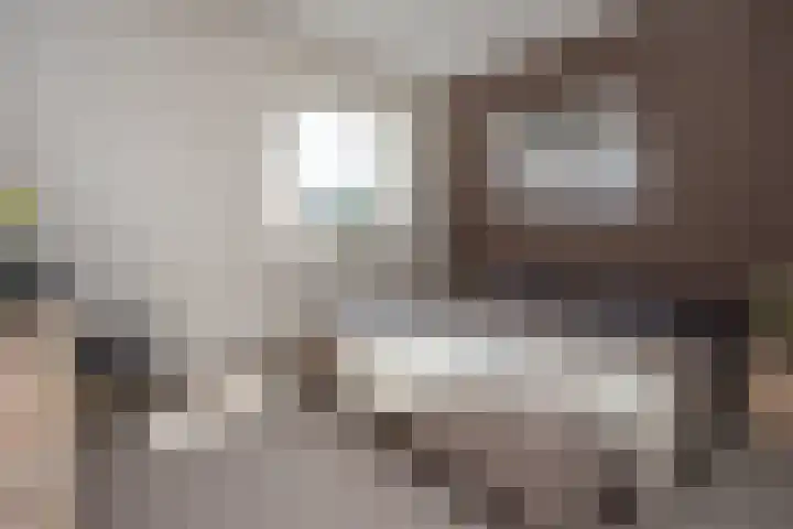 Nieuwstraat 25 Venhuizen thumbnail 22