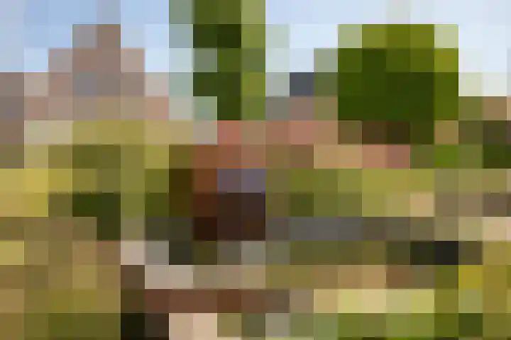 Nieuwstraat 25 Venhuizen thumbnail 37