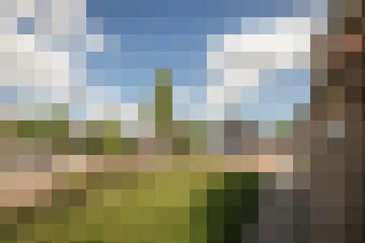 Nieuwstraat 25 Venhuizen thumbnail 8