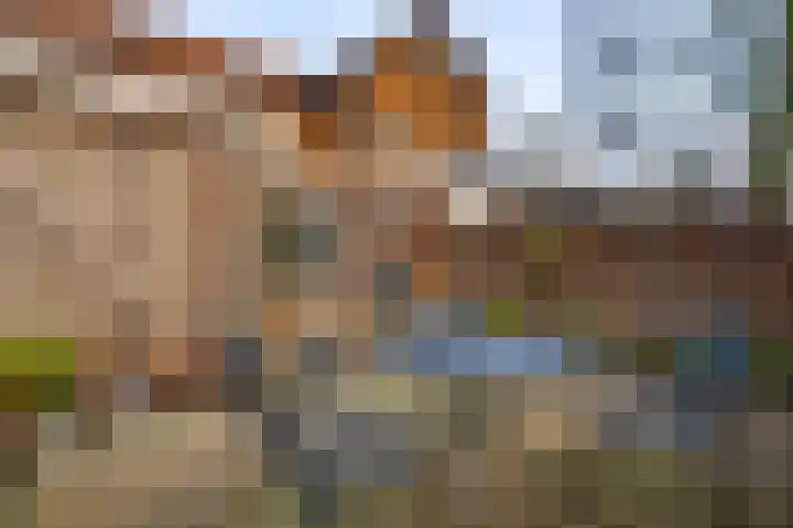 Nieuwstraat 25 Weert thumbnail 34