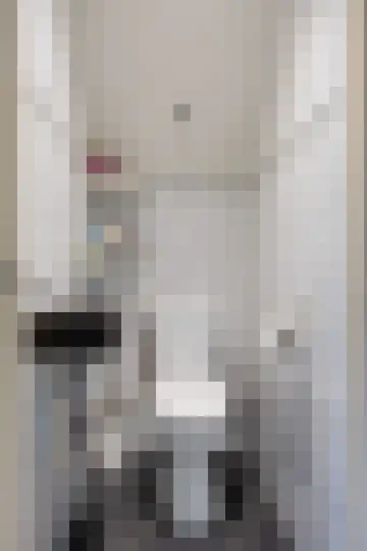 Nieuwstraat 25 Zuidhorn thumbnail 8
