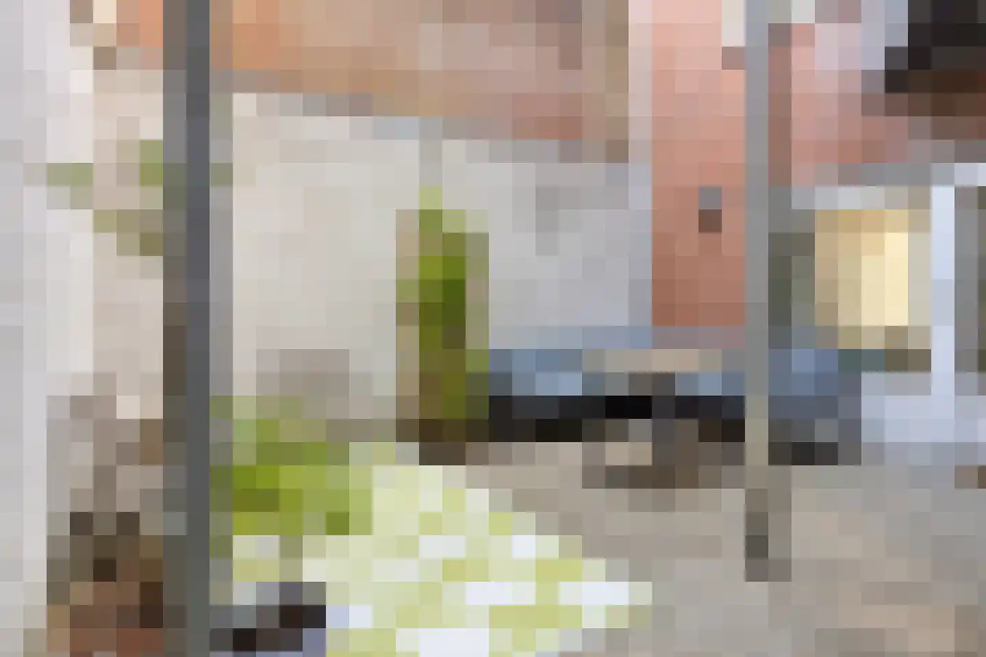 Nieuwstraat 26 A Goes thumbnail 17