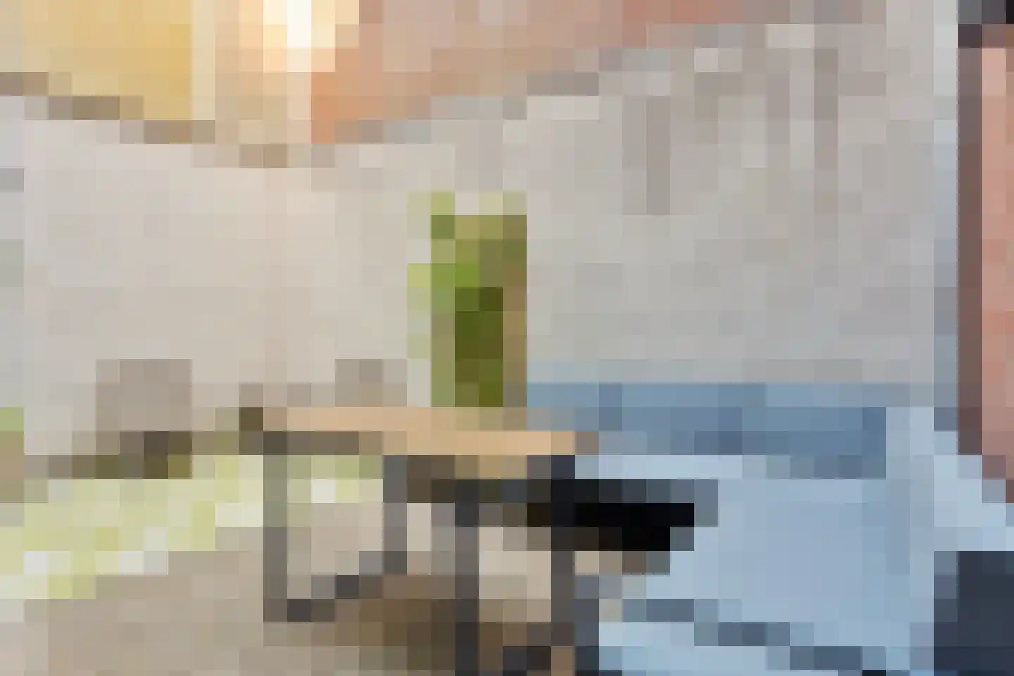 Nieuwstraat 26 A Goes thumbnail 19