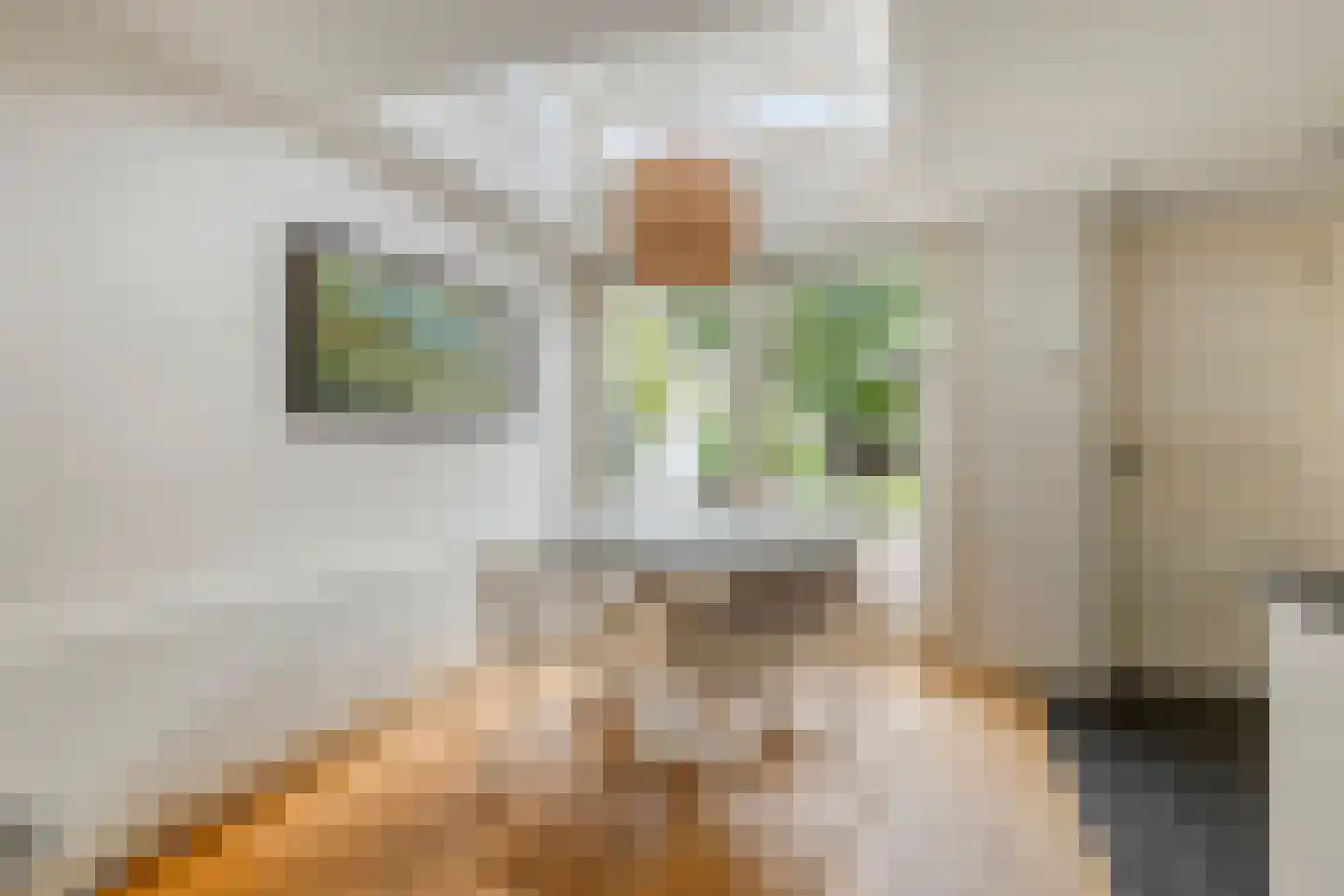 Nieuwstraat 26 Helmond thumbnail 15