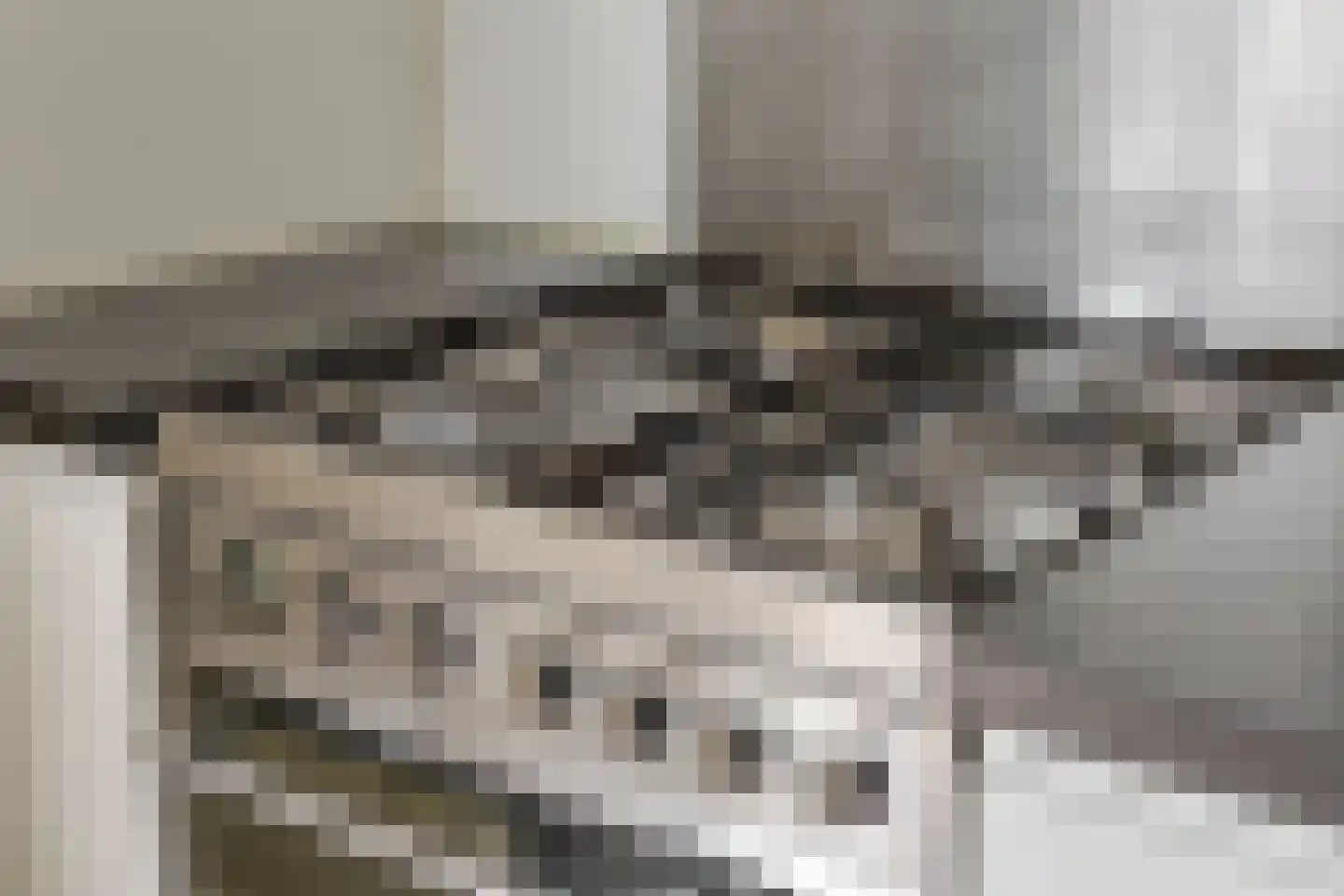 Nieuwstraat 26 Helmond thumbnail 23