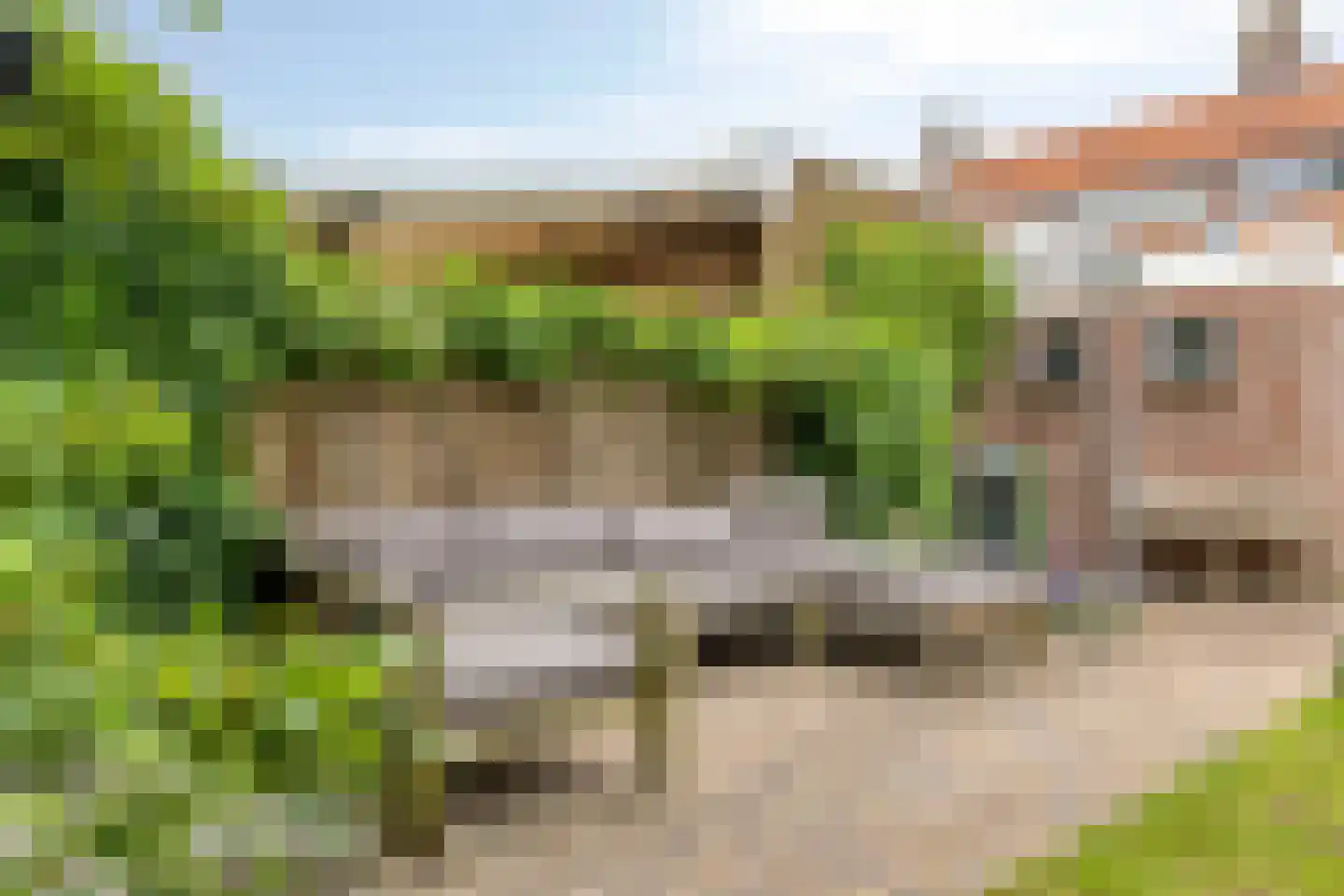 Nieuwstraat 26 Helmond thumbnail 26