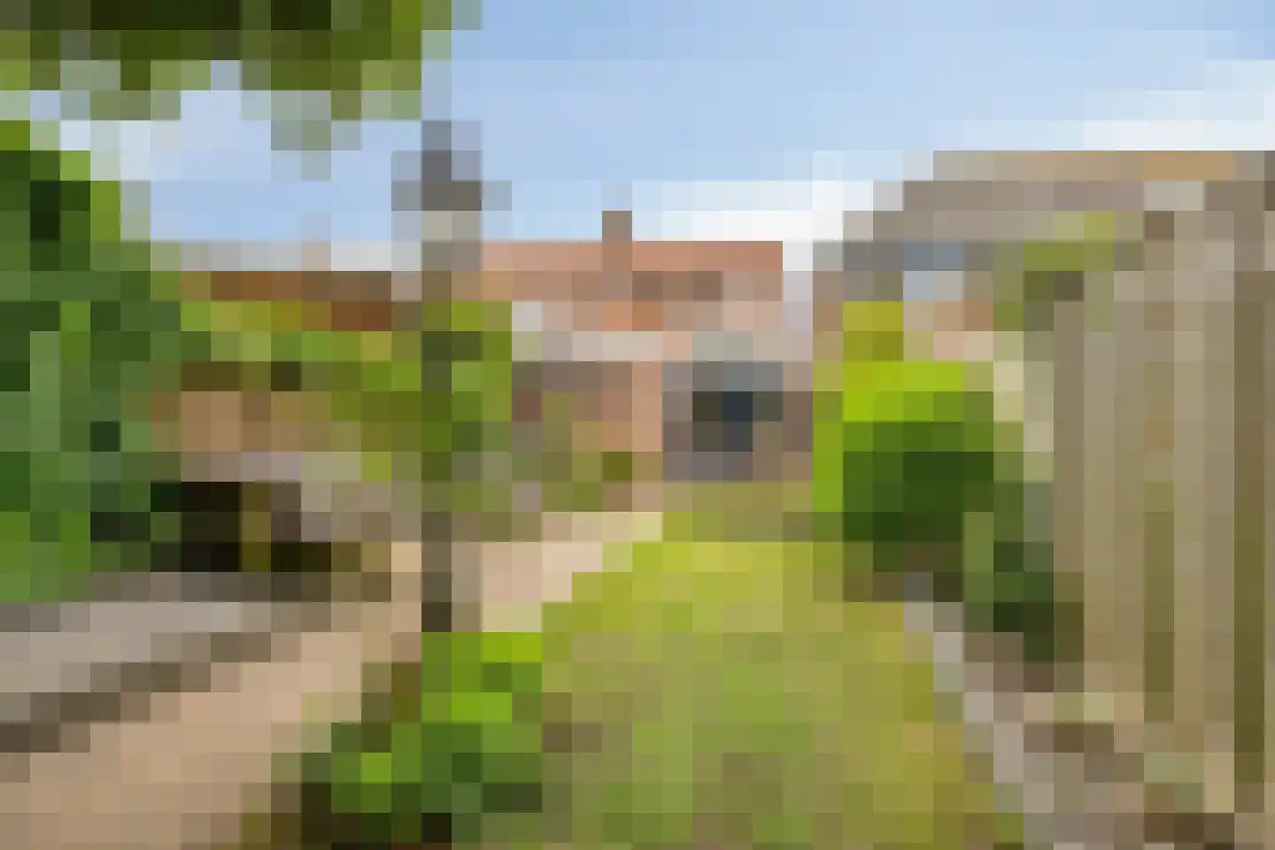 Nieuwstraat 26 Helmond thumbnail 9