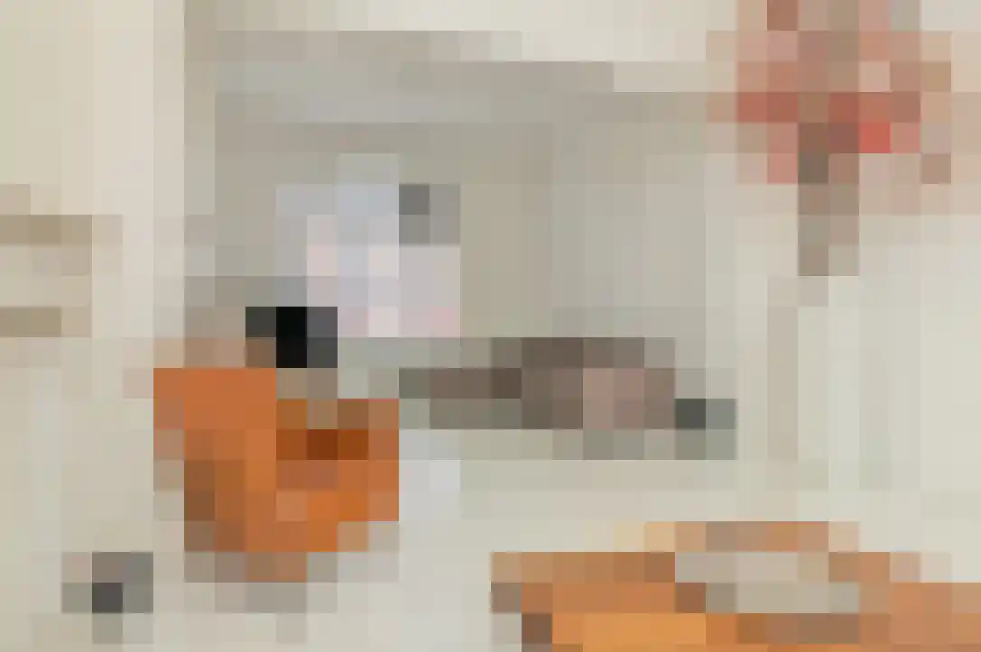 Nieuwstraat 26 Koewacht thumbnail 10