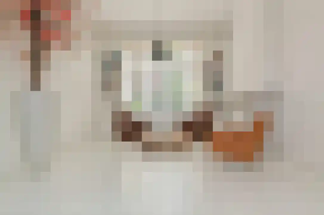 Nieuwstraat 26 Koewacht thumbnail 11