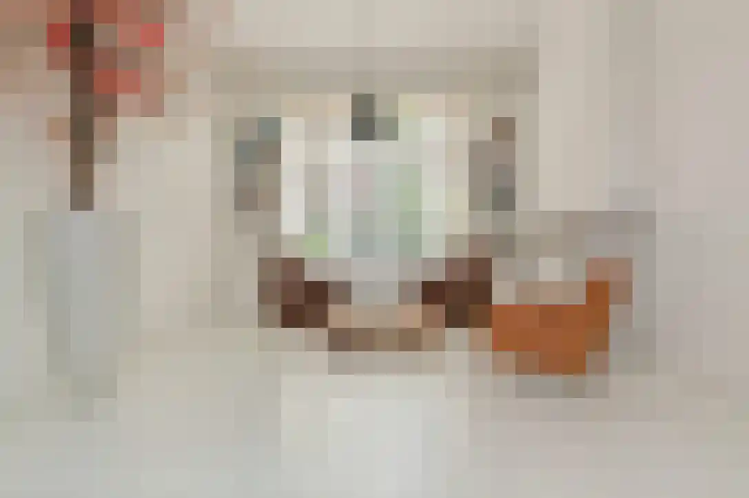 Nieuwstraat 26 Koewacht thumbnail 12