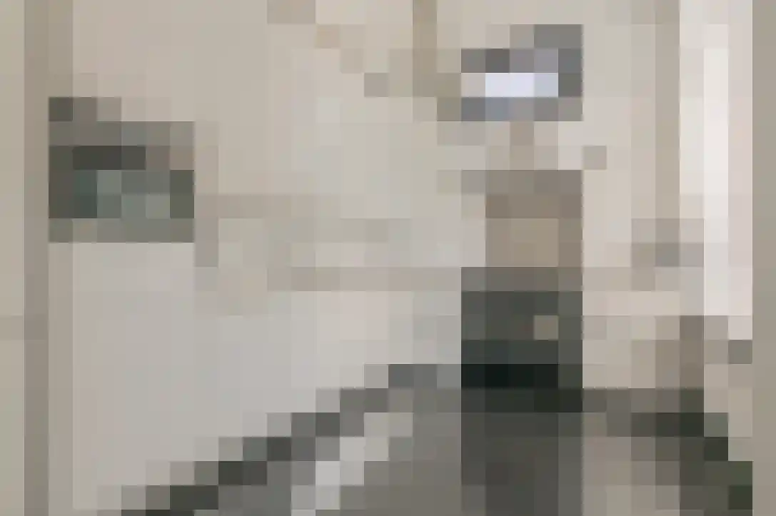 Nieuwstraat 26 Koewacht thumbnail 13