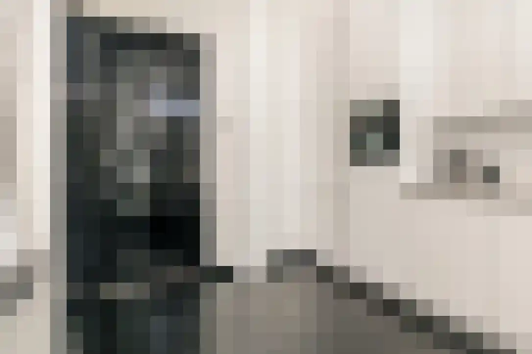 Nieuwstraat 26 Koewacht thumbnail 14