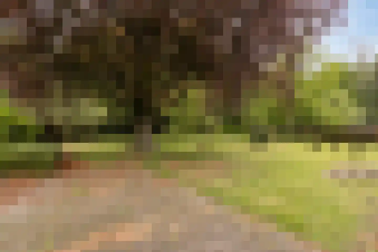 Nieuwstraat 26 Koewacht thumbnail 31