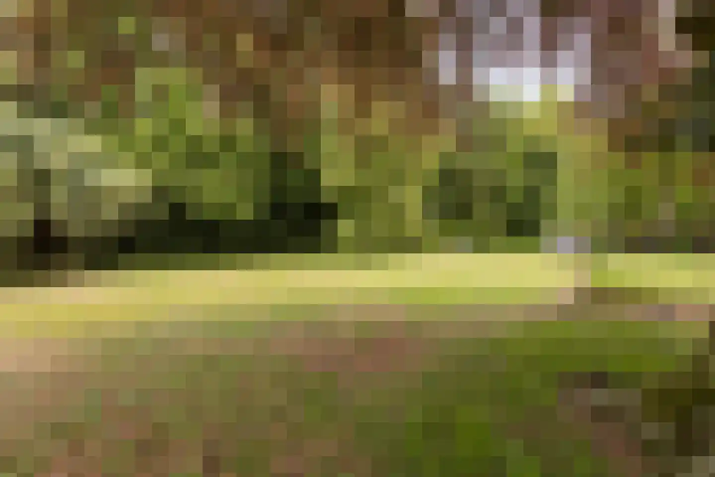 Nieuwstraat 26 Koewacht thumbnail 32