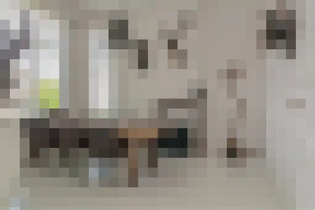 Nieuwstraat 26 Koewacht thumbnail 4