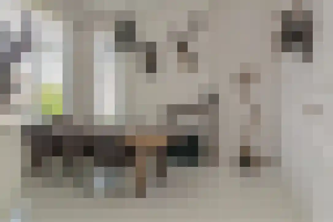 Nieuwstraat 26 Koewacht thumbnail 5