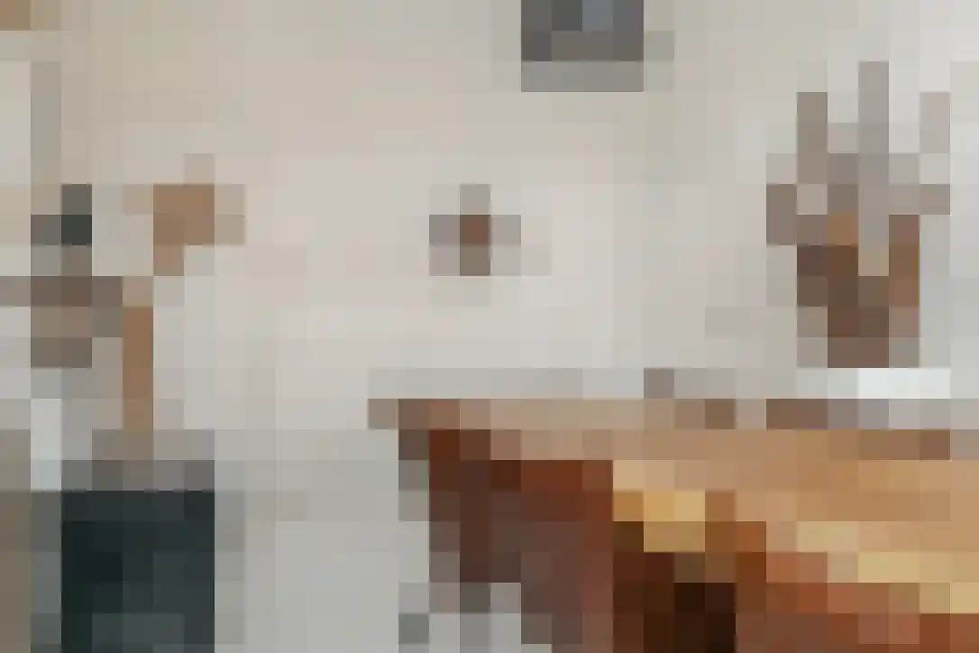 Nieuwstraat 26 Koewacht thumbnail 8