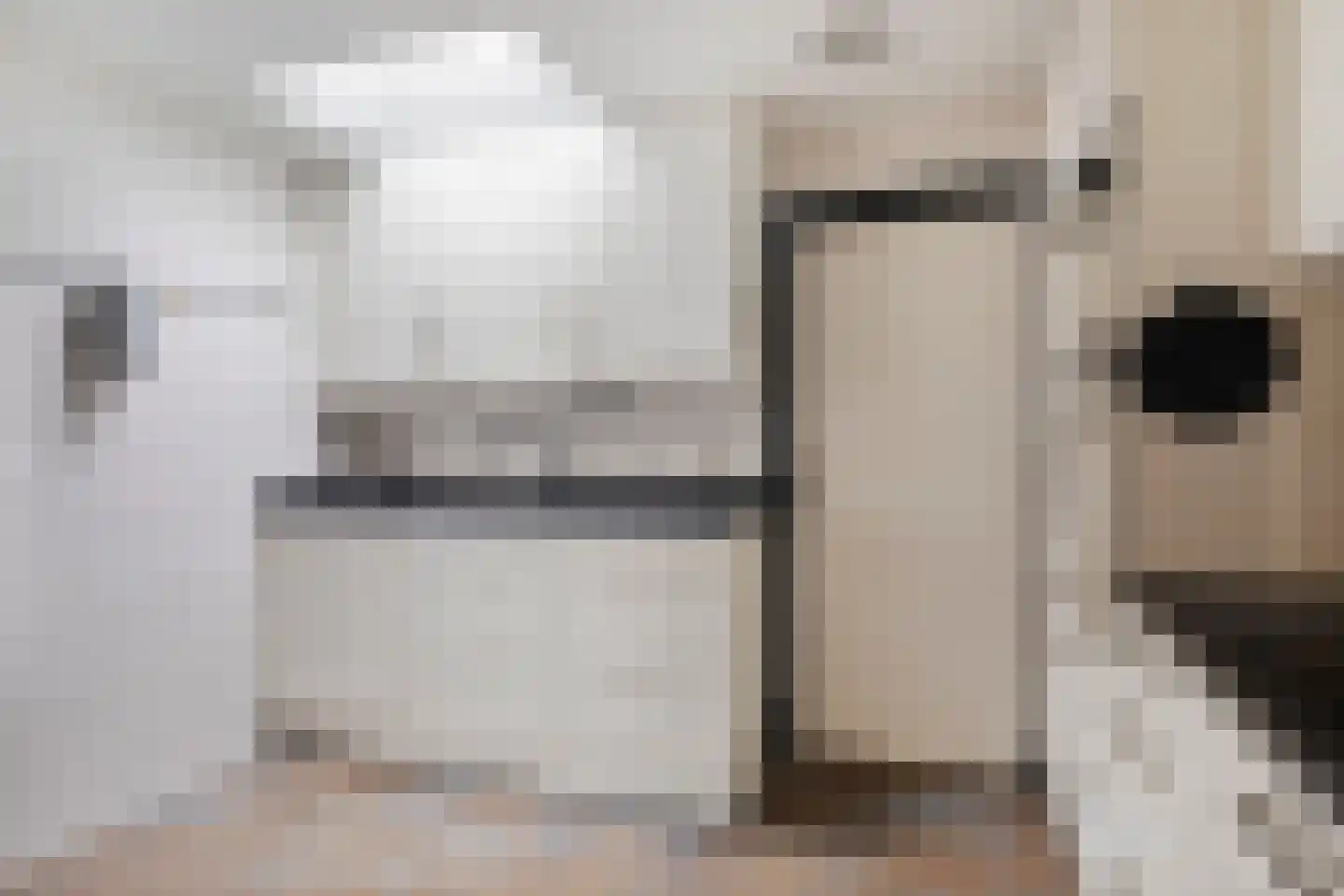 Nieuwstraat 26 Roosendaal thumbnail 15