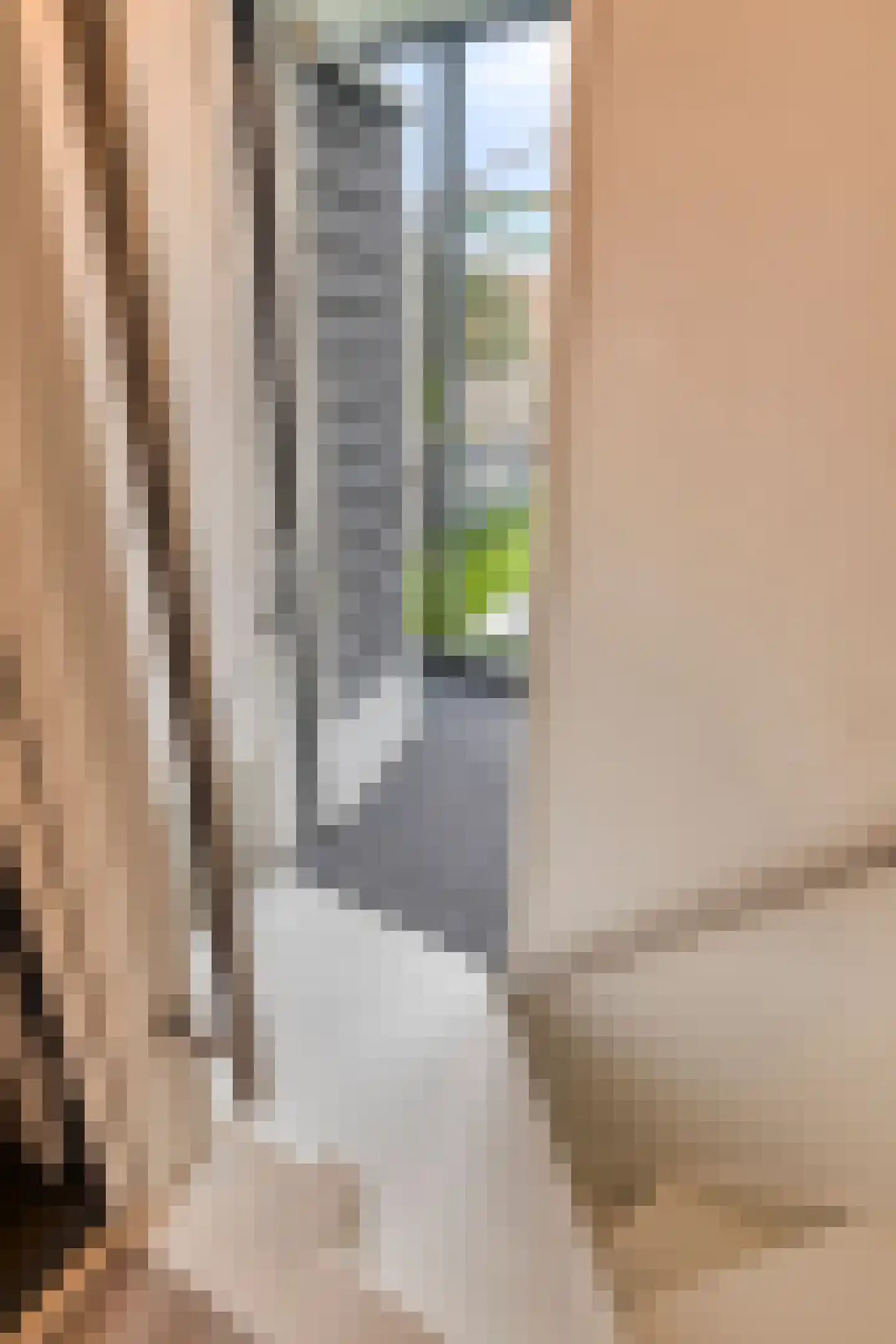Nieuwstraat 26 Roosendaal thumbnail 19