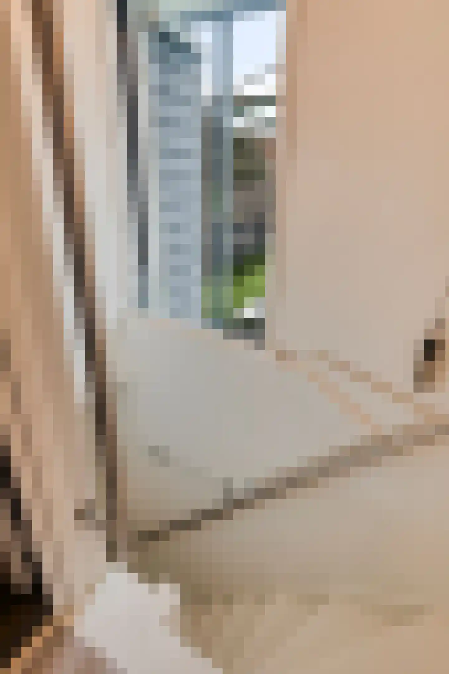 Nieuwstraat 26 Roosendaal thumbnail 20
