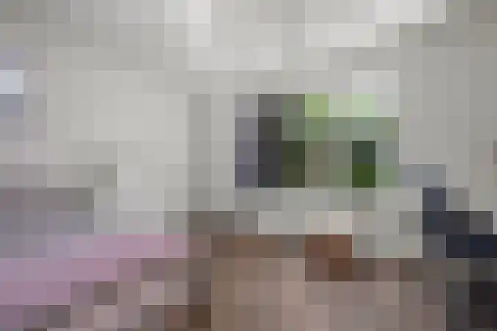 Nieuwstraat 26 Vught thumbnail 16