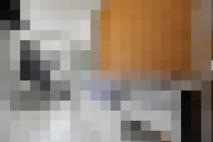 Nieuwstraat 26 Vught thumbnail 17