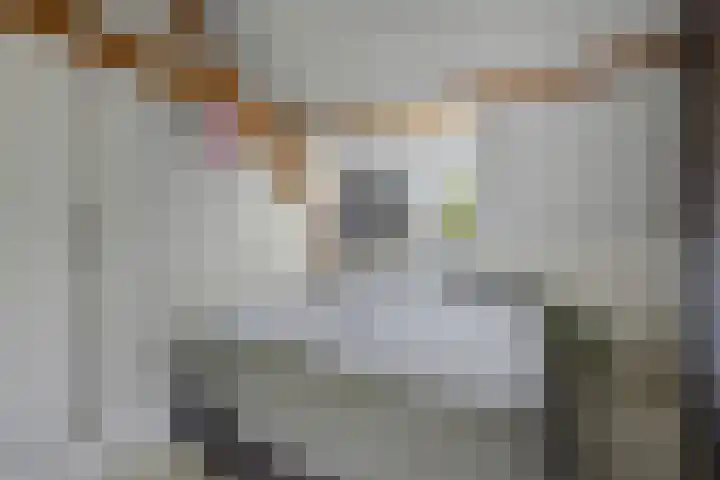 Nieuwstraat 26 Vught thumbnail 26