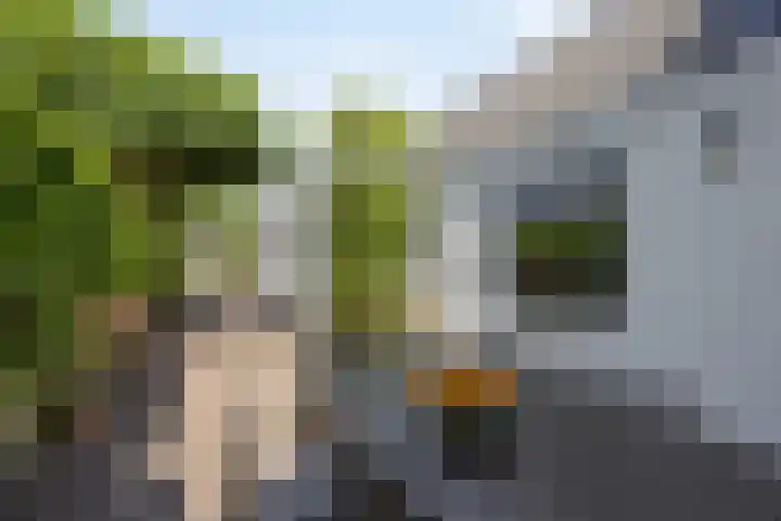 Nieuwstraat 26 Vught thumbnail 29