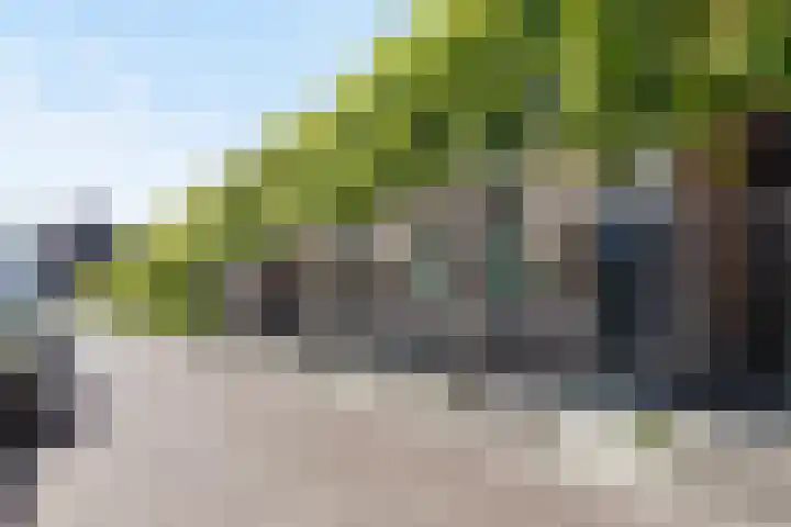 Nieuwstraat 26 Vught thumbnail 33