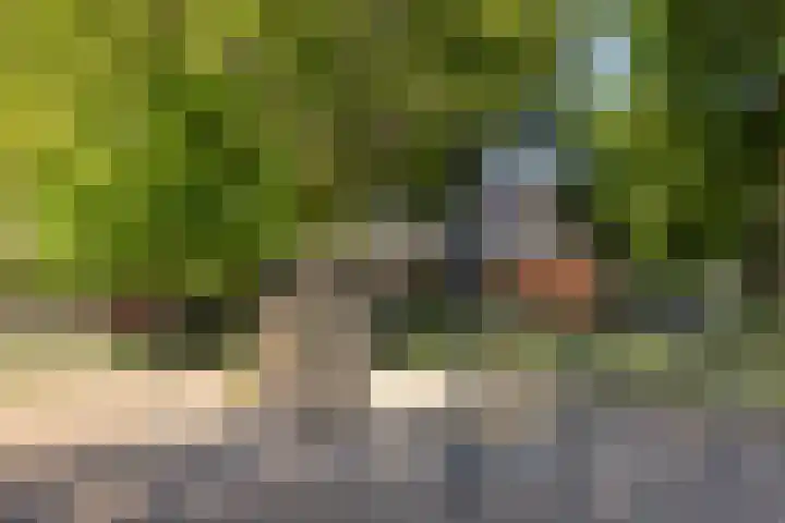 Nieuwstraat 26 Vught thumbnail 37