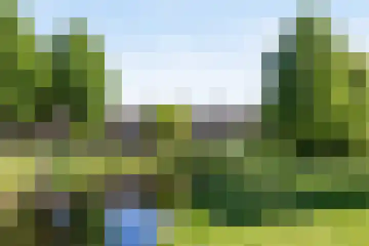Nieuwstraat 26 Vught thumbnail 38