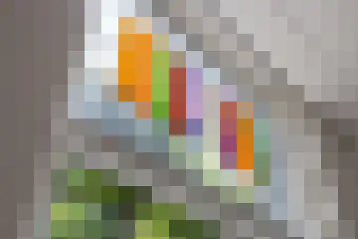Nieuwstraat 26 Vught thumbnail 7