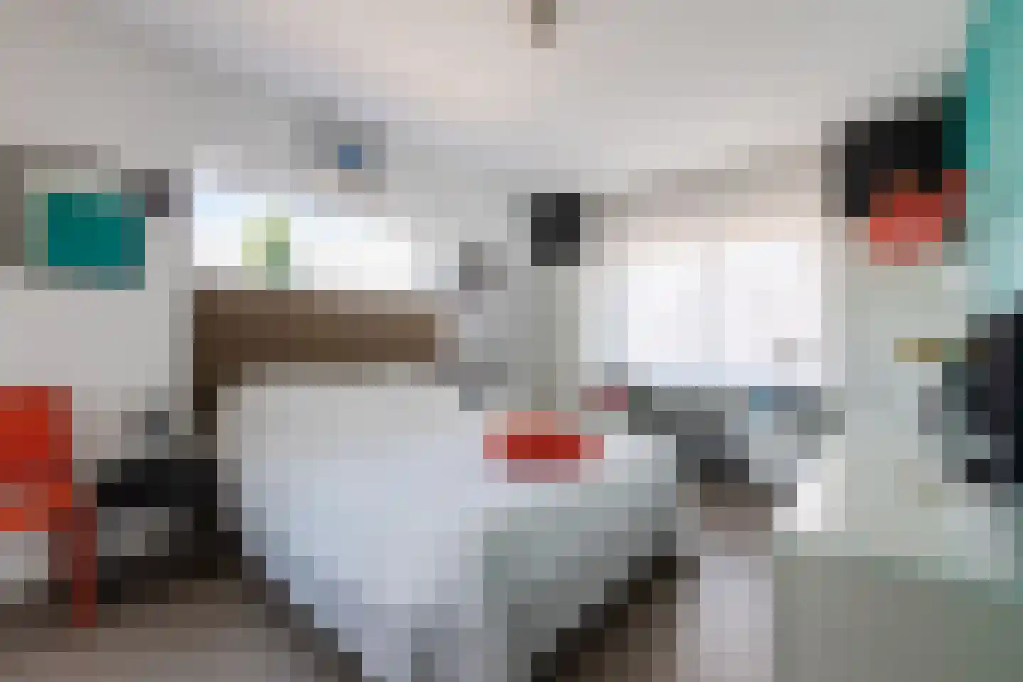 Nieuwstraat 26 Wageningen thumbnail 16