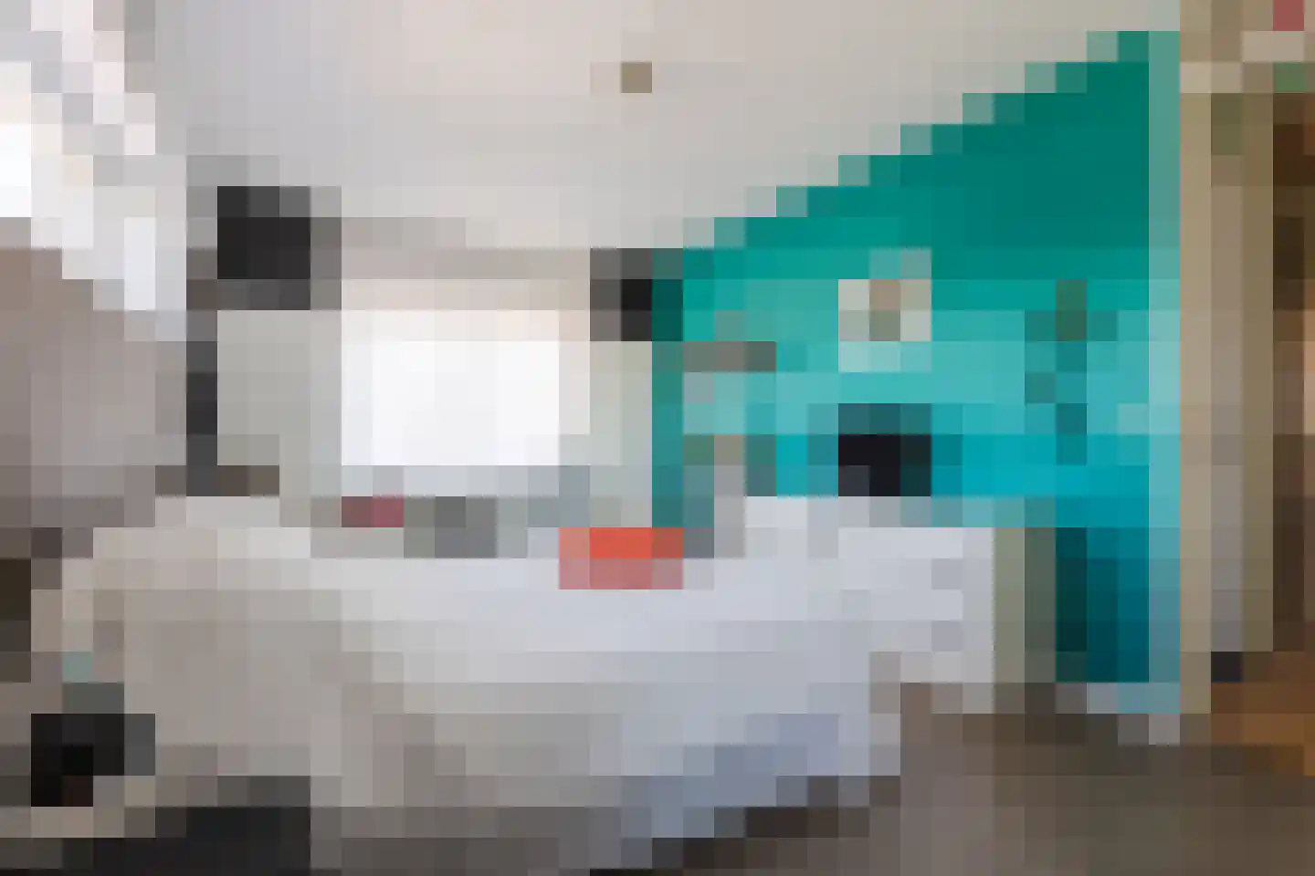 Nieuwstraat 26 Wageningen thumbnail 17