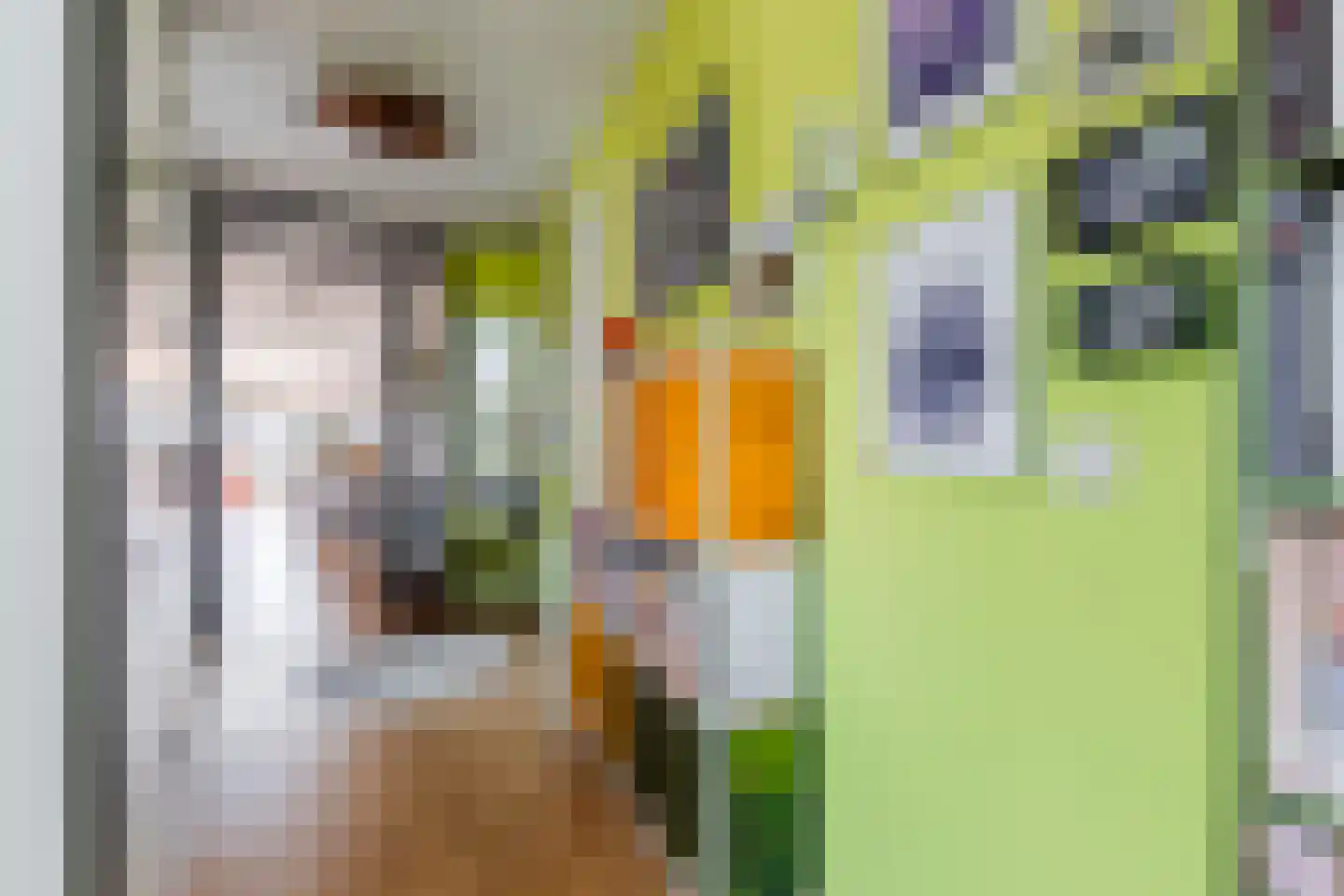 Nieuwstraat 26 Wageningen thumbnail 30