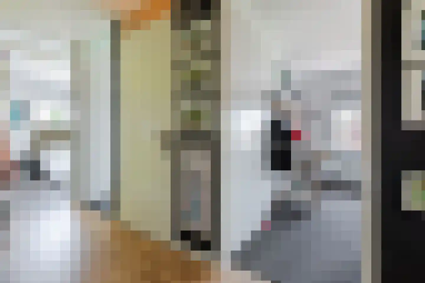 Nieuwstraat 26 Wageningen thumbnail 31